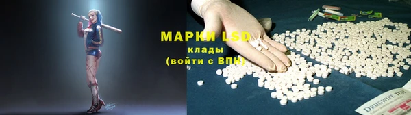 гашик Аркадак