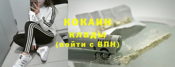 сатива Армянск