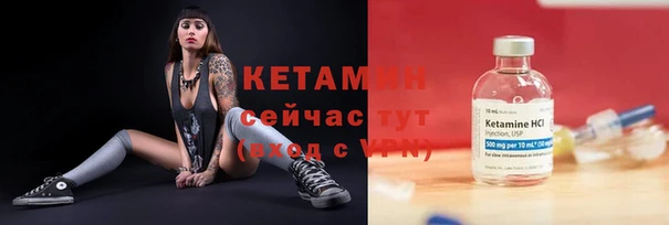 сатива Армянск