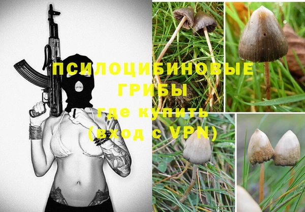 сатива Армянск
