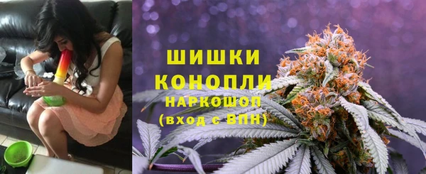 гашик Аркадак
